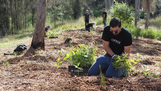 The ‘One door: one tree’ program is Centor’s commitment to planting one tree for each Integrated Door we manufacture. 